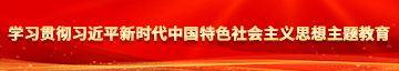 后入爆操视频学习贯彻习近平新时代中国特色社会主义思想主题教育